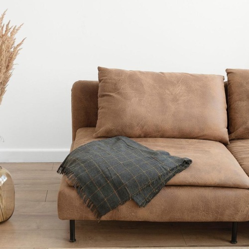 living room with a throw on a couch beside a large floor vase with a plant in it